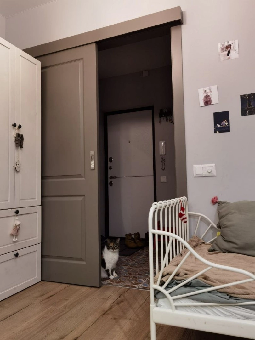 Раздвижная дверь Newdoor 1 эмаль Мокко