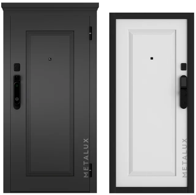 Входная дверь Металюкс M-SP 668